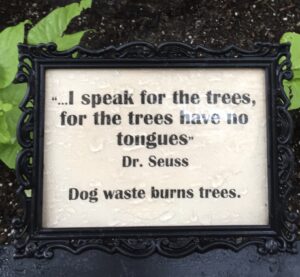 "I speak for the trees, for the trees have no tongues." -Dr. Seuss